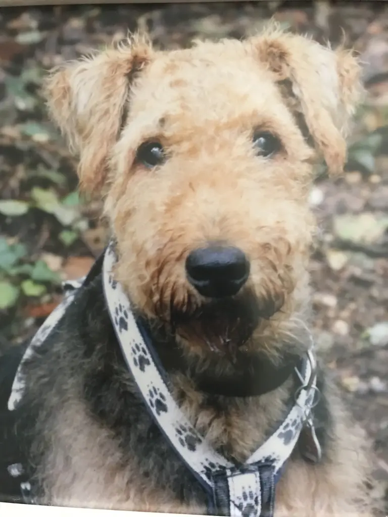 Condolence image of Sylvia