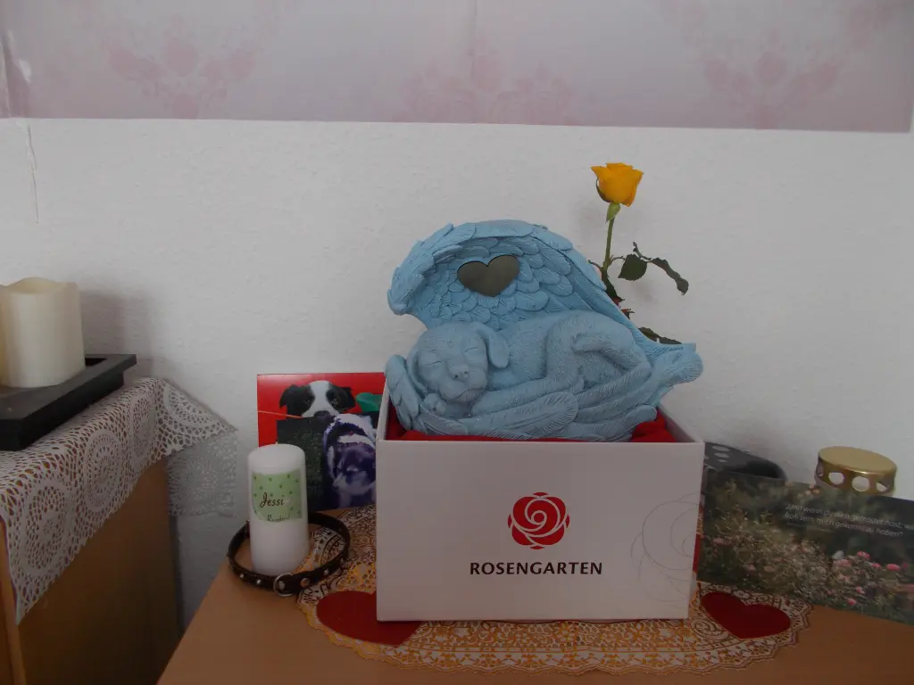 Condolence image of Beate