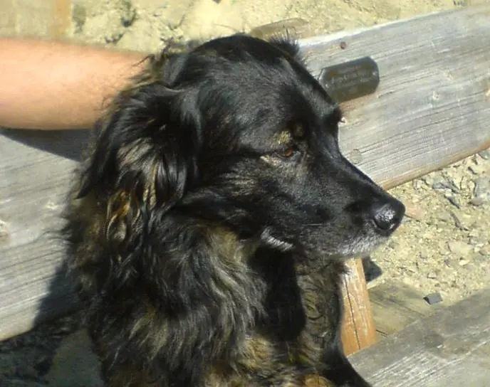 Condolence image of Unbekannt