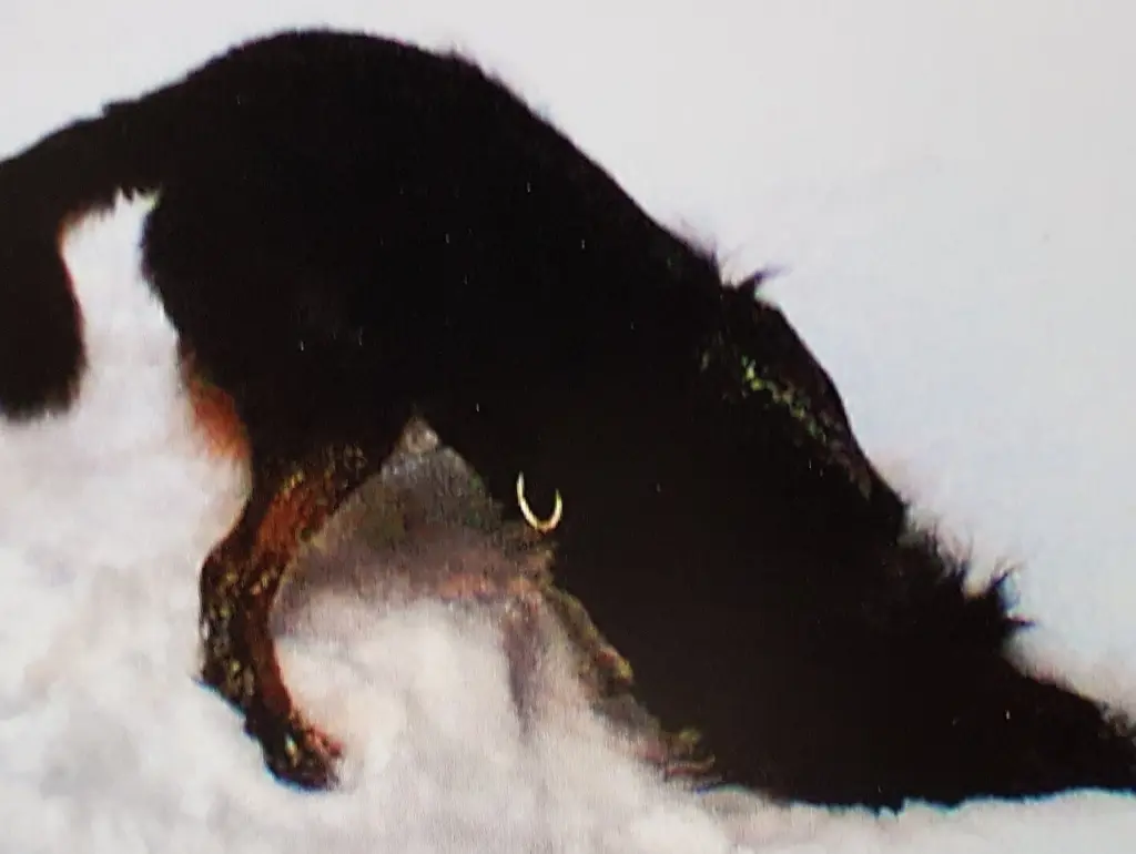Condolence image of Unbekannt