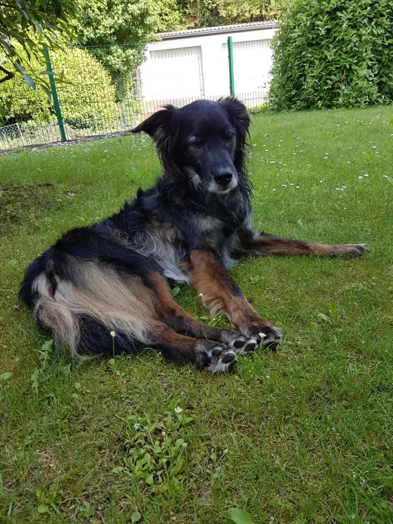 Condolence image of Unbekannt