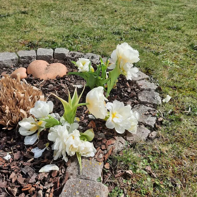 Condolence image of Unbekannt