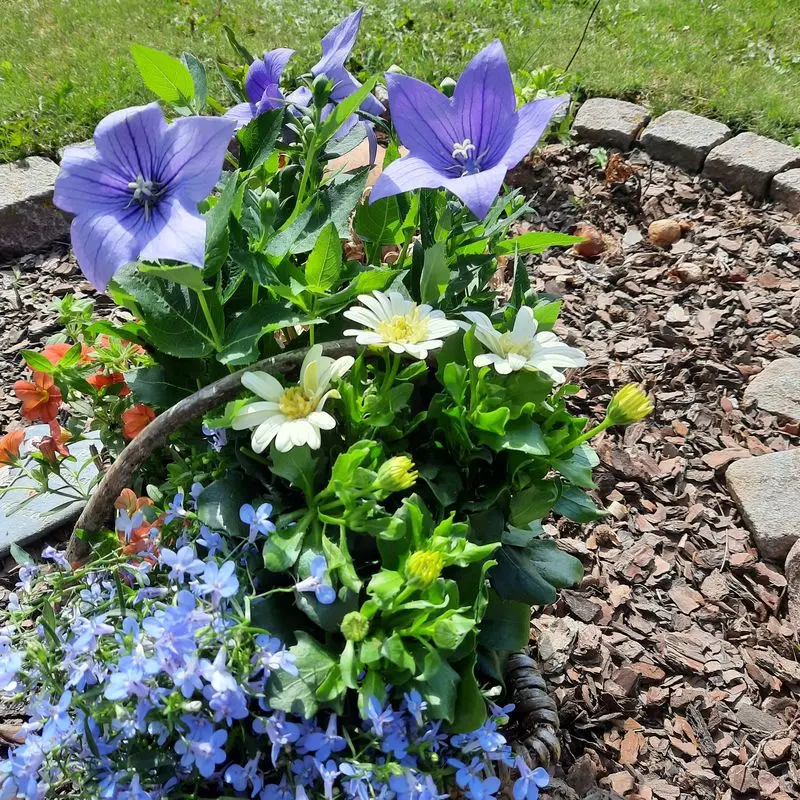 Condolence image of Unbekannt