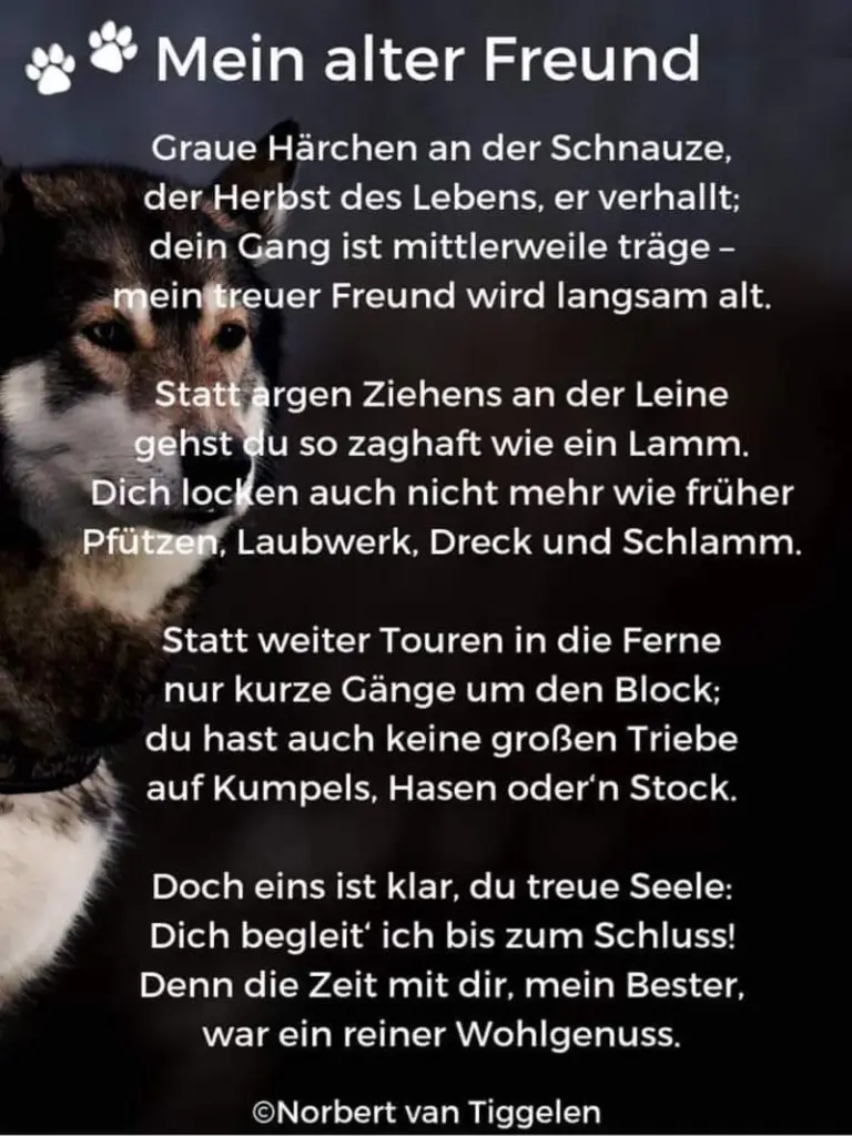 Condolence image of Unbekannt