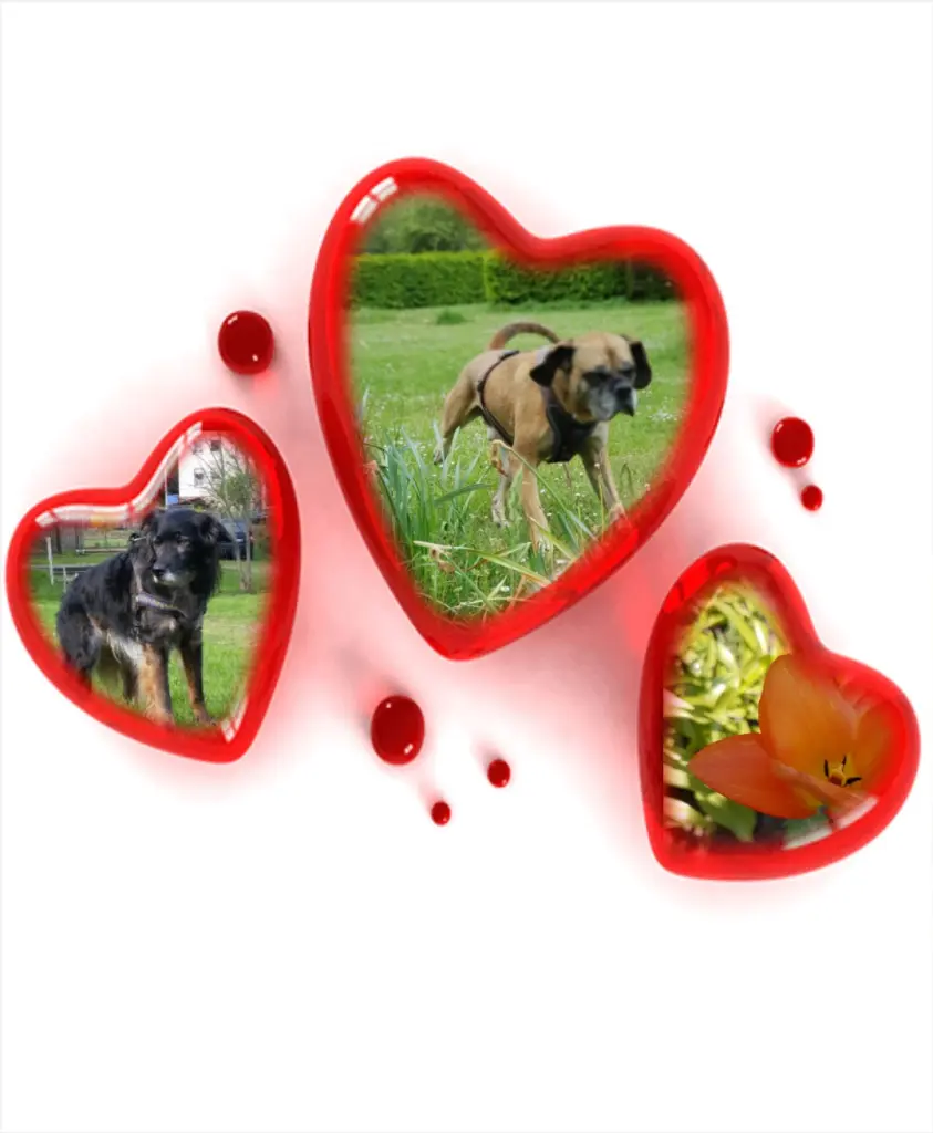 Condolence image of Birgit Jacob