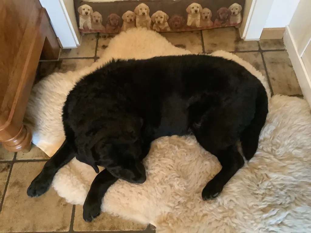Condolence image of Claudia 