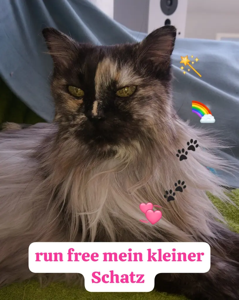 Image from Fussel
