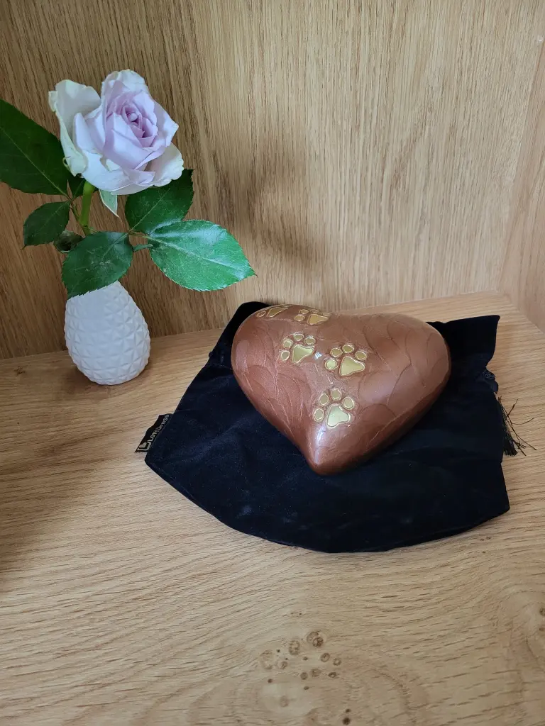 Image from Frau Surbier
