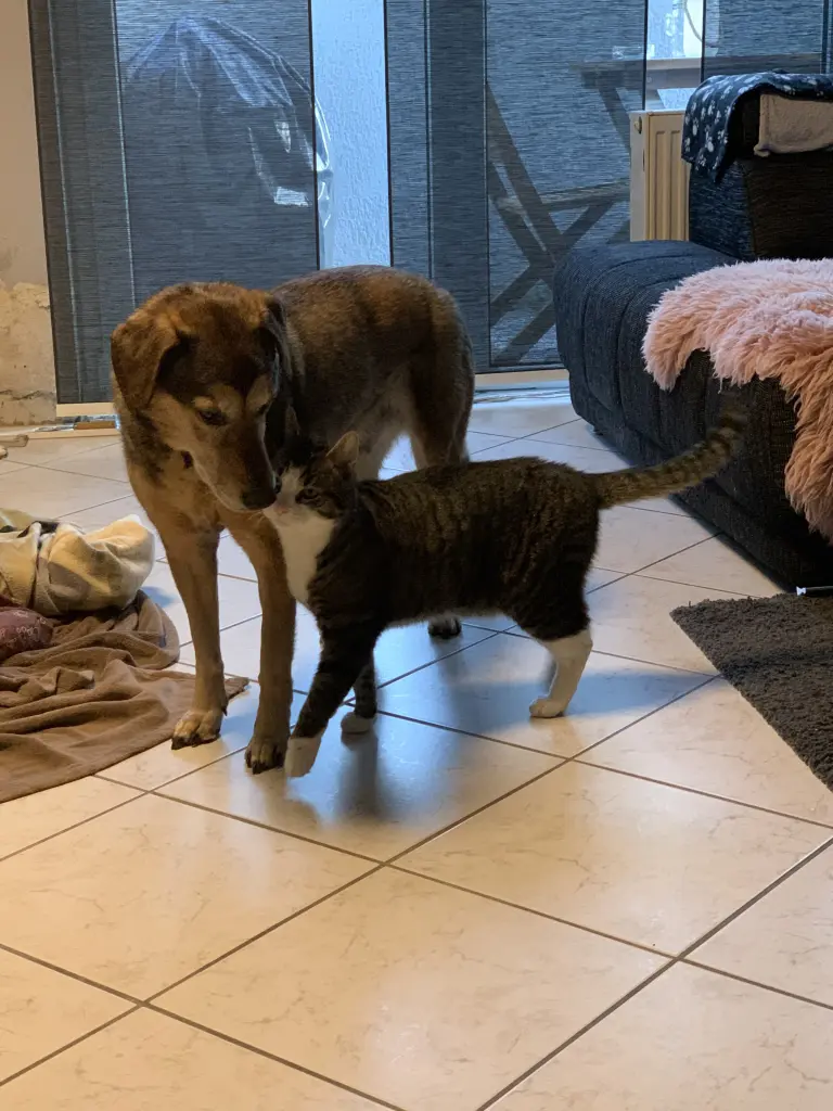Image from Barny 
