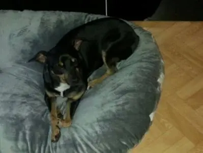 Image from Messino