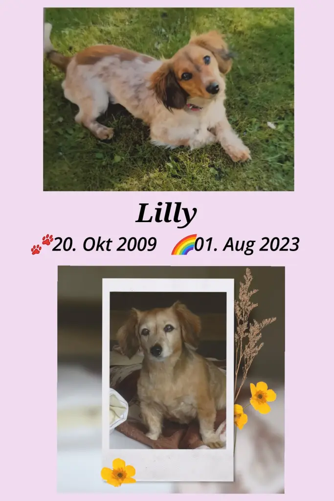 Condolence image of Peter und Gabi mit Lilly im Regenbogenland????