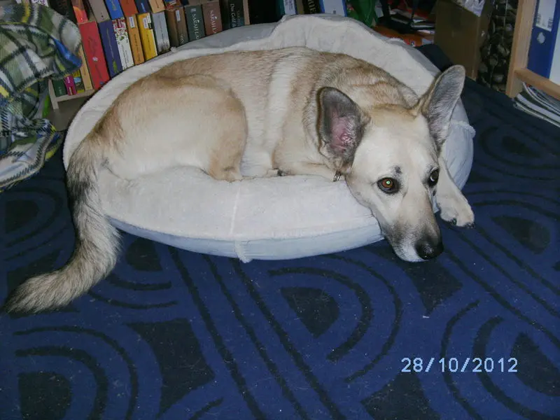 Condolence image of Christine