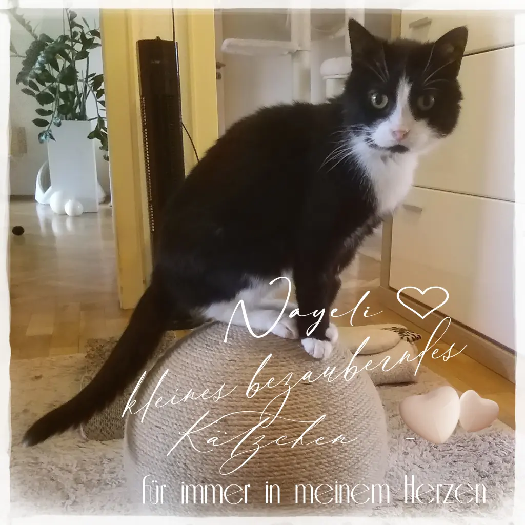 Image from Nayeli