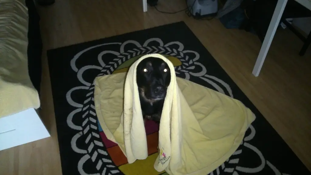 Image from Lilli