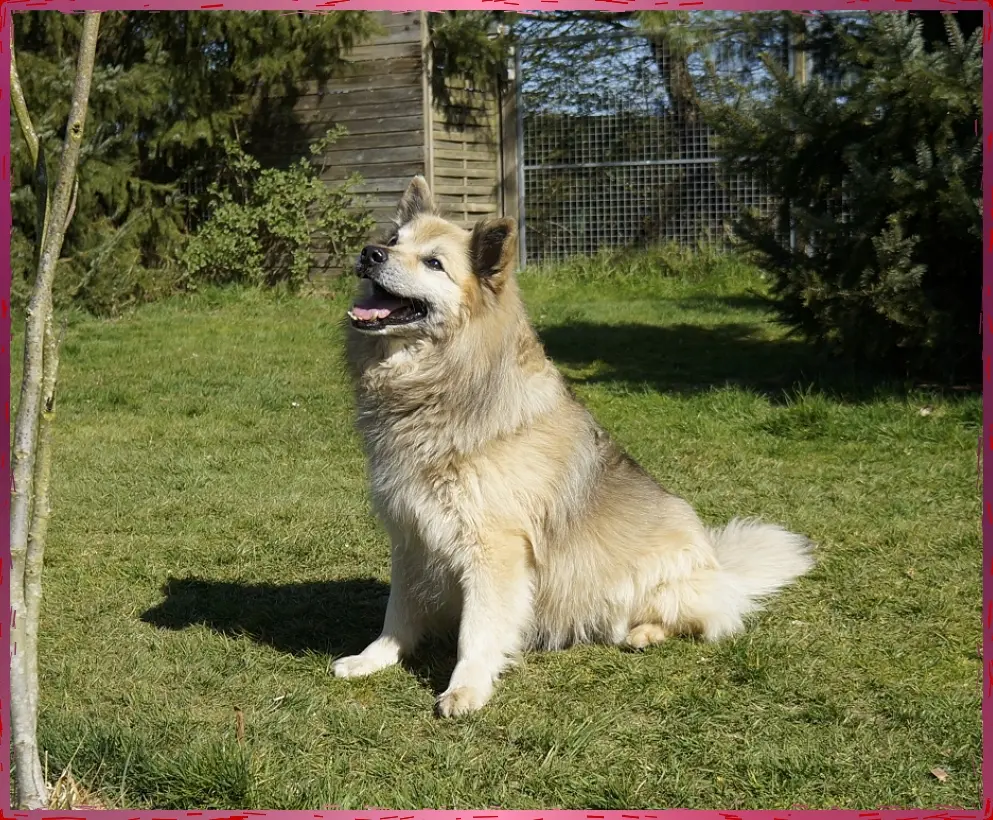 Bild von Filou