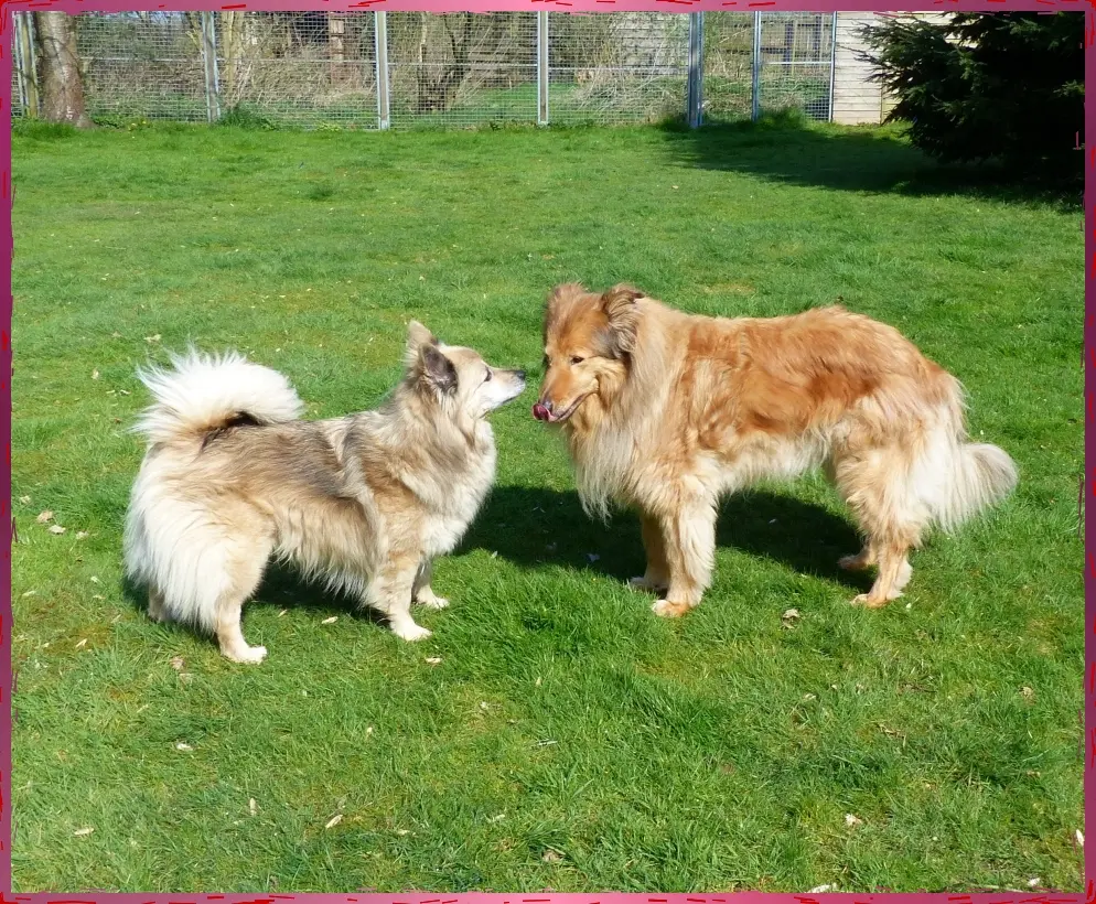 Bild von Filou