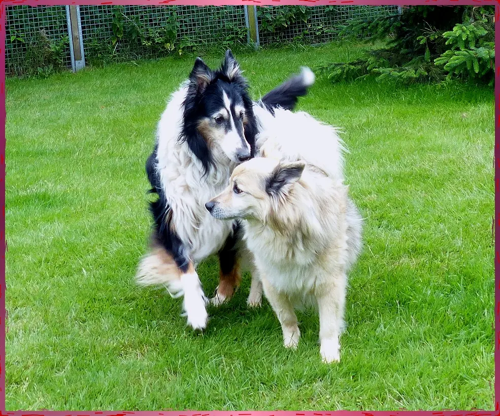 Bild von Filou