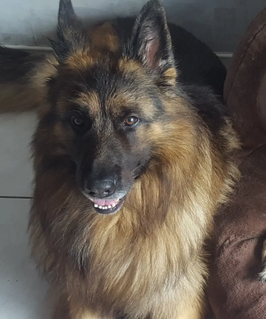 Condolence image of Ralf