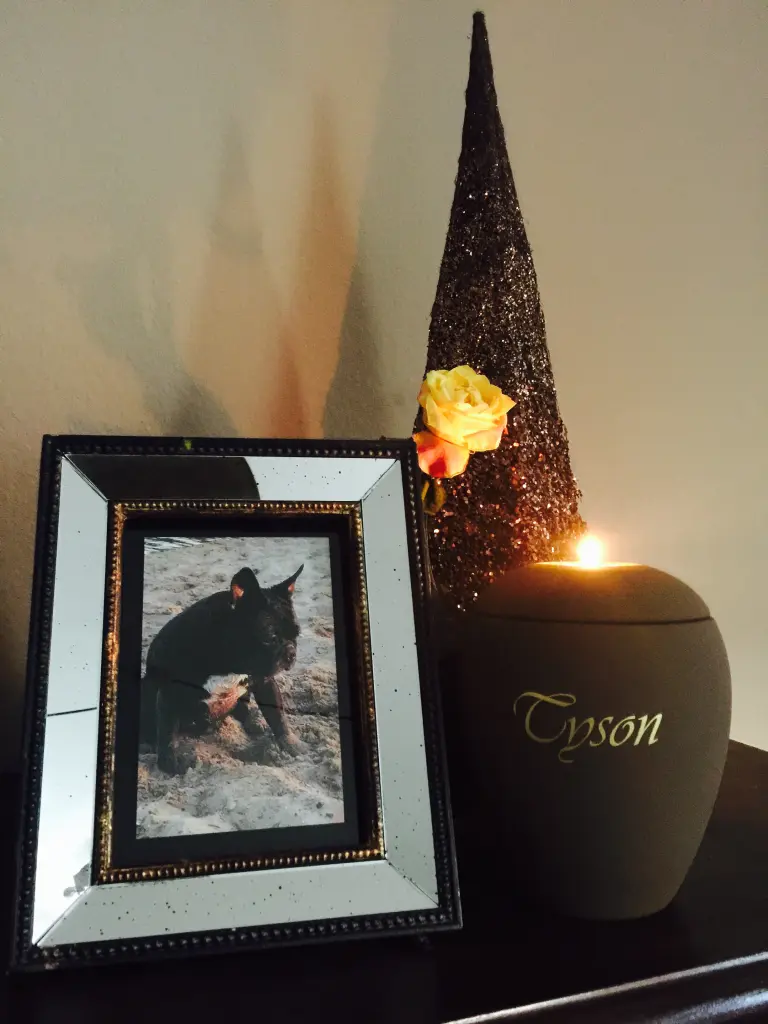 Image from Tyson