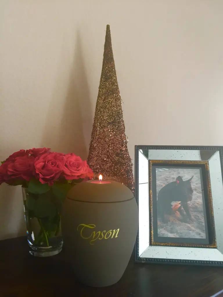 Image from Tyson