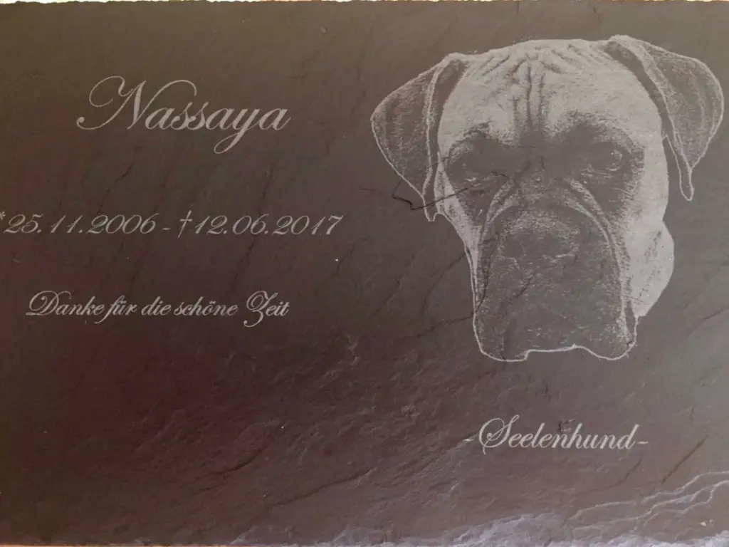Image from Nassaya