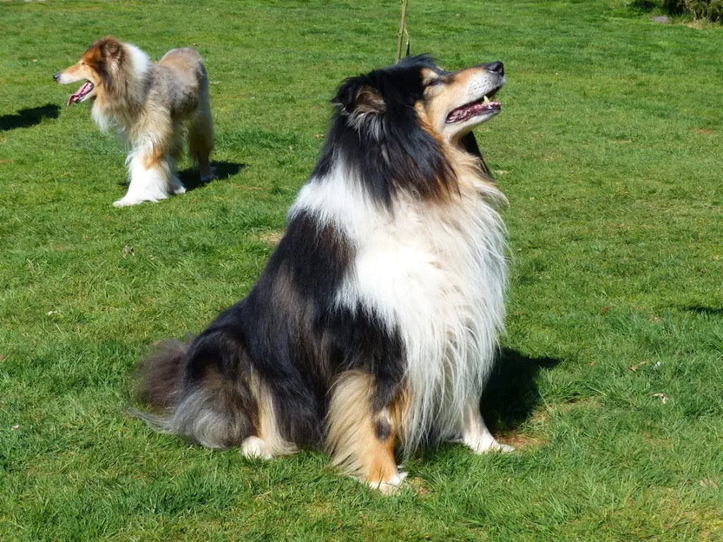 Andachtsbild von Margit und Klaus