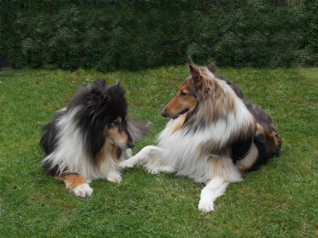 Andachtsbild von Annette und Wilfried