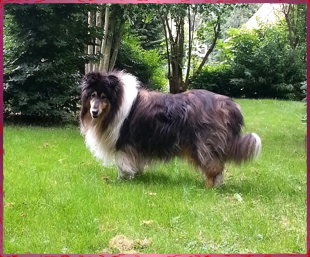 Bild von Max