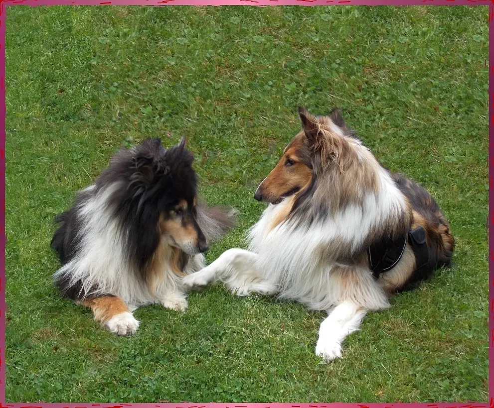 Bild von Max