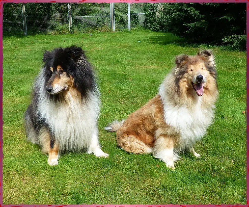 Bild von Max