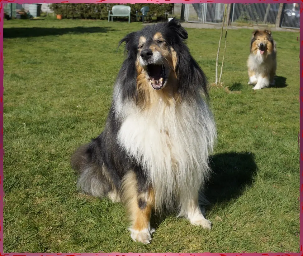 Bild von Max
