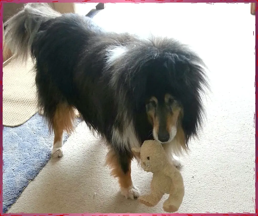 Bild von Max
