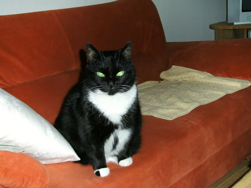 Andachtsbild von Jeanne - Marie