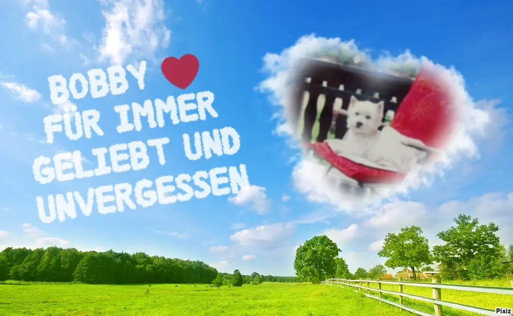 Andachtsbild von Tanja mit Timmy im Herzen