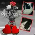 Andachtsbild von Annemarie und Elke mit Snoopy im Herzen gest.04.01.2022