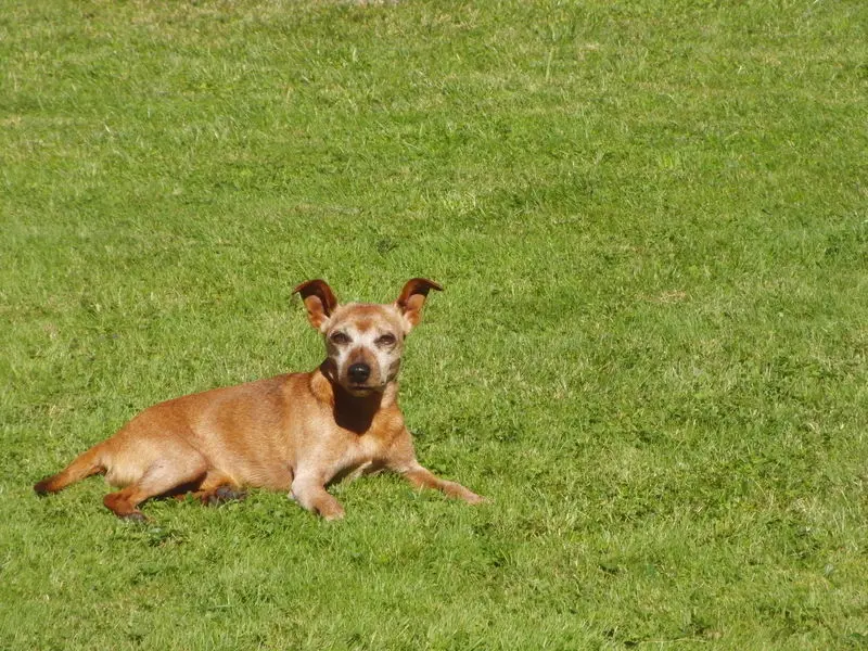 Condolence image of Jutta