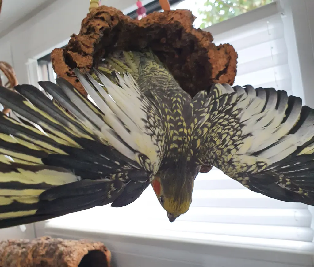 Andachtsbild von Deine Felo ❤️ ❤️ ❤️ 