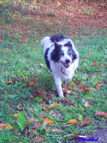 Image from Pünktchen