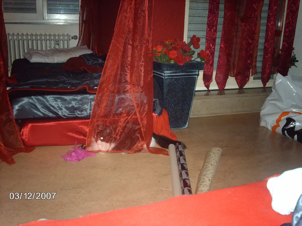 Image from Luigi
