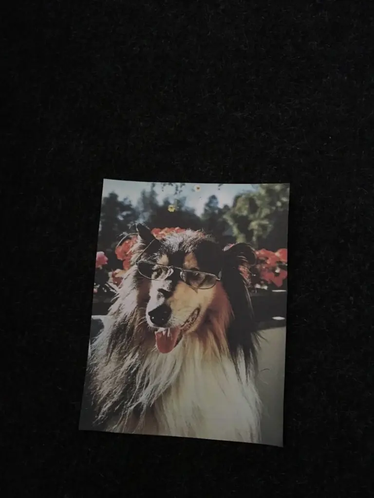 Image from Bandit