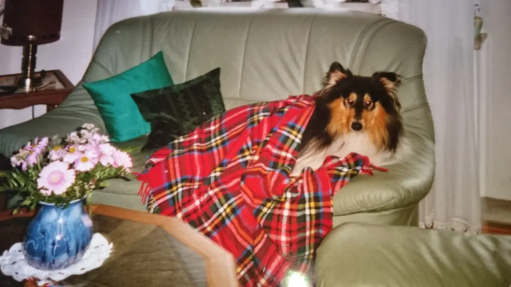 Image from Bandit