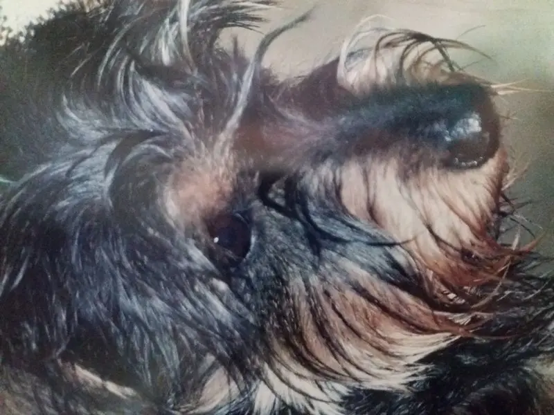Image from Betty