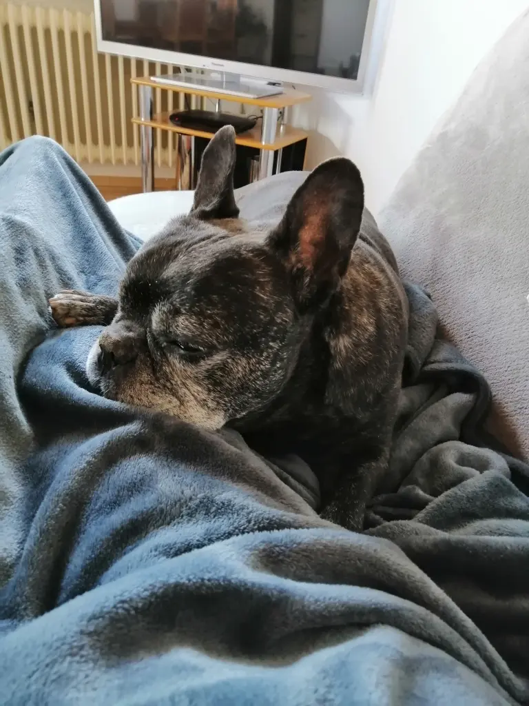 Andachtsbild von Alois und Gudrun mit Yoda ❤️