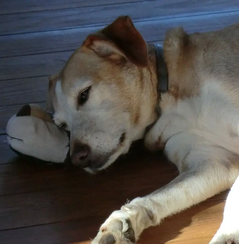 Andachtsbild von Manuela mit Noa