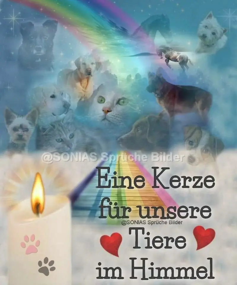 Andachtsbild von Claudia mit ASKO❤️ 
