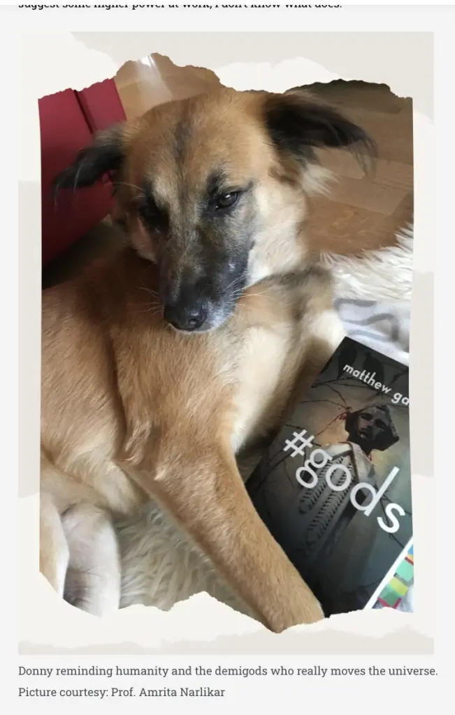 Andachtsbild von Amrita Donny's Best Friend