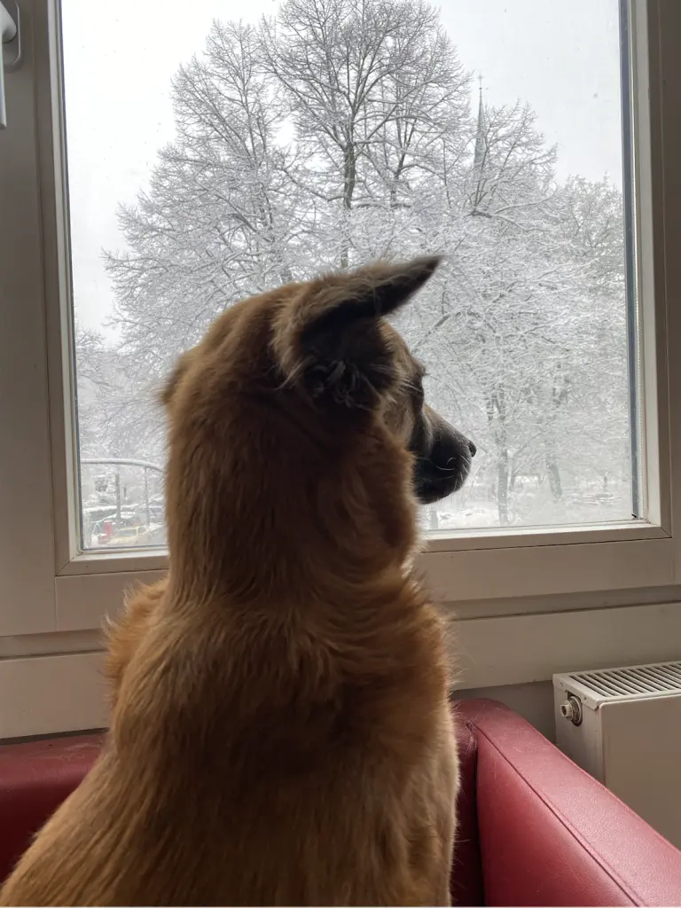 Andachtsbild von Amrita