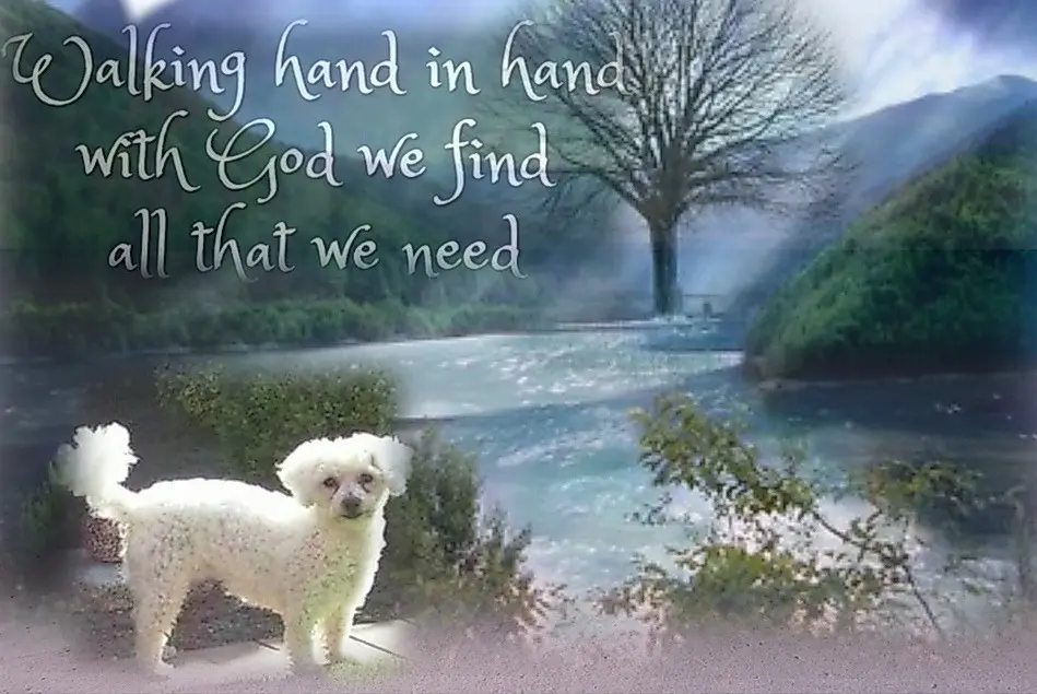 Andachtsbild von Gaby mit Snowy* im Herzen 