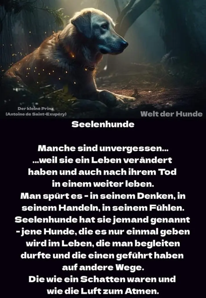 Andachtsbild von Claudia mit ASKO❤️ 