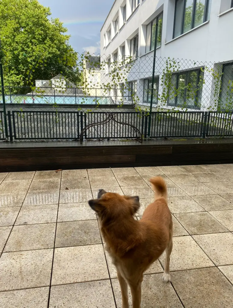 Andachtsbild von Amrita Donny‘s Best Friend